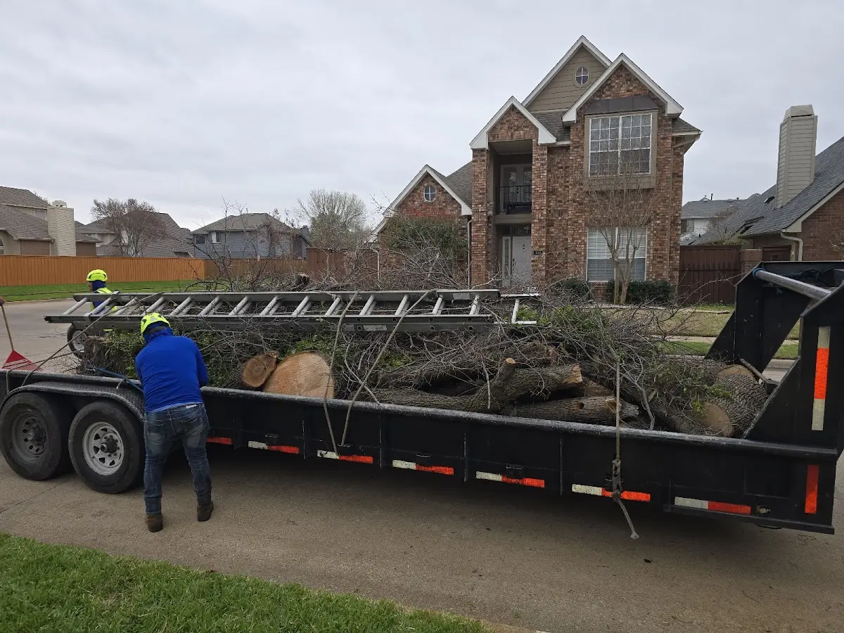 Expert Lot Clearing with proper safety equipment in Mc Dade
